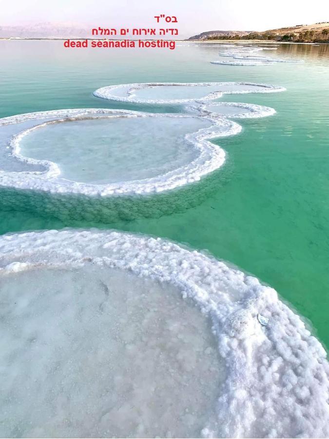 Nadia Hosting Dead Sea Neve Zohar Exterior foto