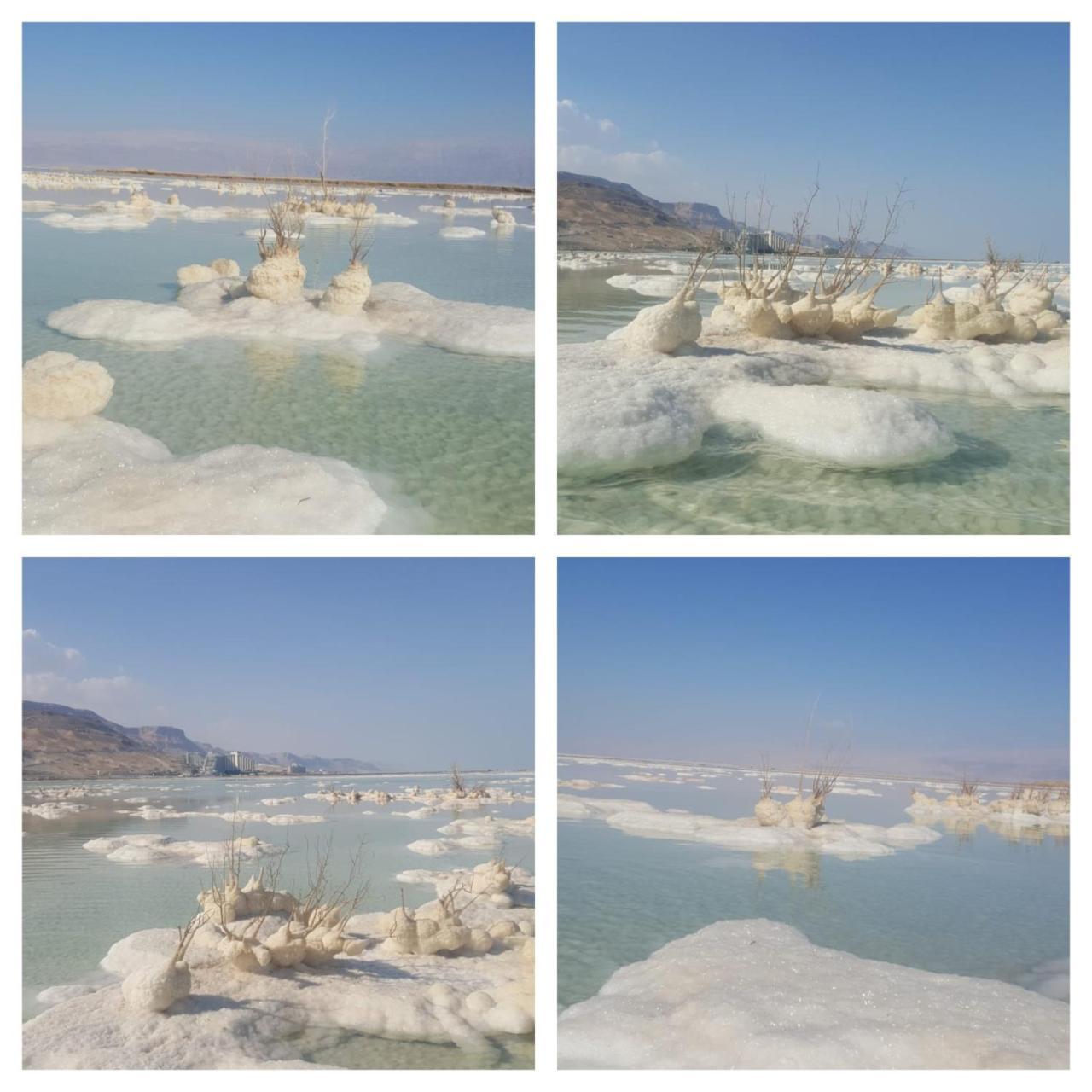 Nadia Hosting Dead Sea Neve Zohar Exterior foto