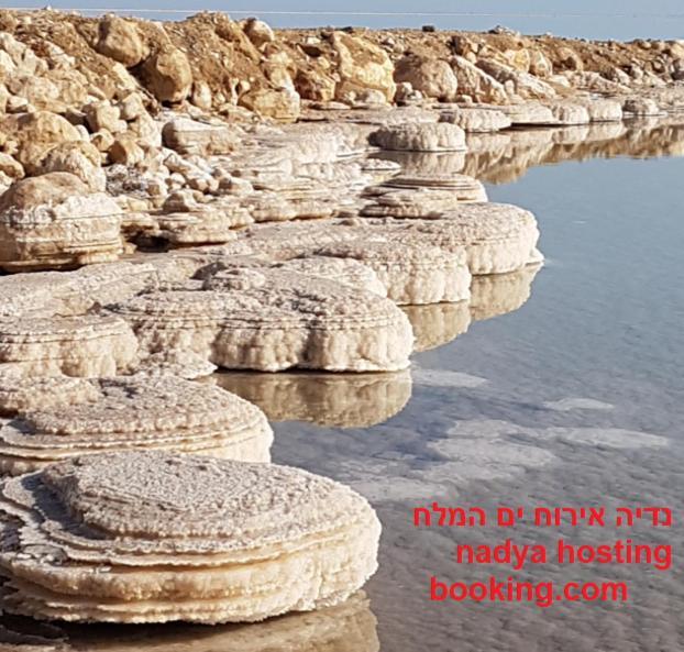 Nadia Hosting Dead Sea Neve Zohar Exterior foto