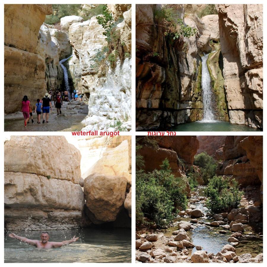 Nadia Hosting Dead Sea Neve Zohar Exterior foto